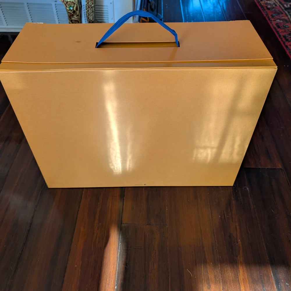 Louis Vuitton authentic louis